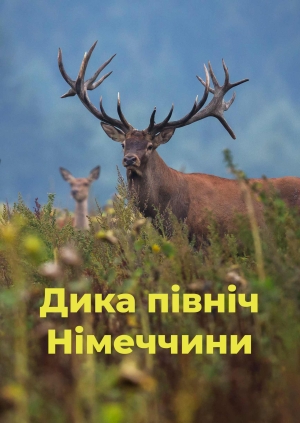 Дика північ Німеччини