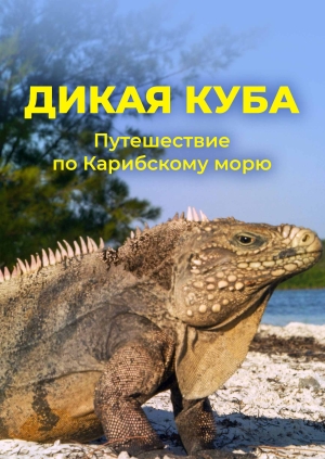 1 выпуск