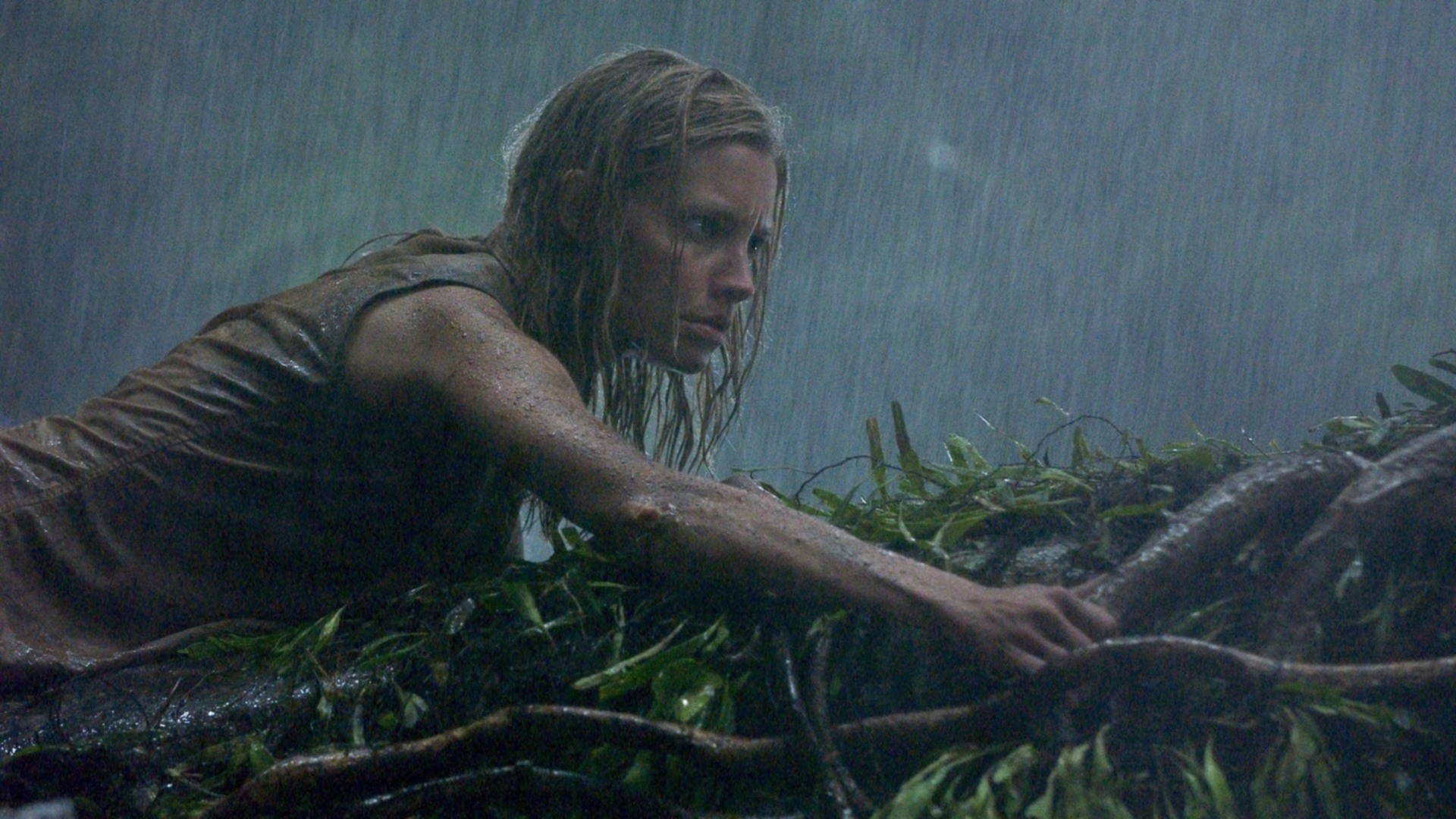 Анаконда 2: Охота за проклятой орхидеей (Anacondas: The Hunt for the Blood Orchid)