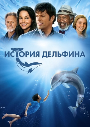 История дельфина