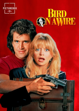 Bird on a Wire (Bird on a Wire)