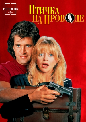 Птичка на проводе (Bird on a Wire)