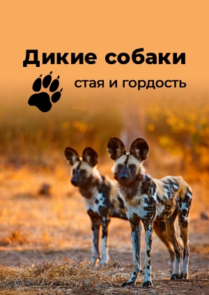 4 выпуск