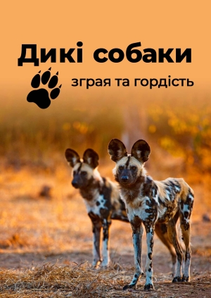 4 випуск