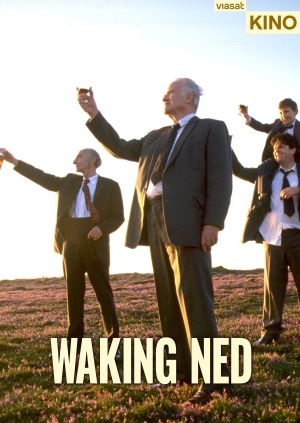 Waking Ned