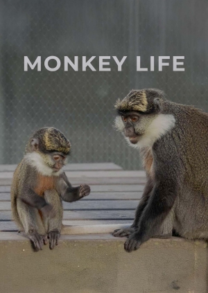 Episode 10. Season 14