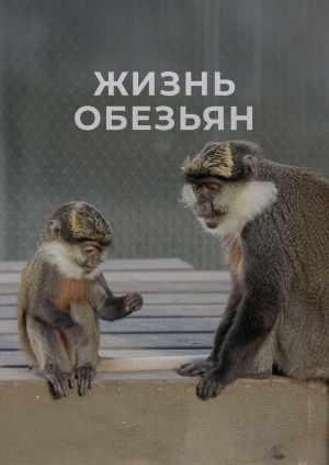 1 выпуск. 14 сезон