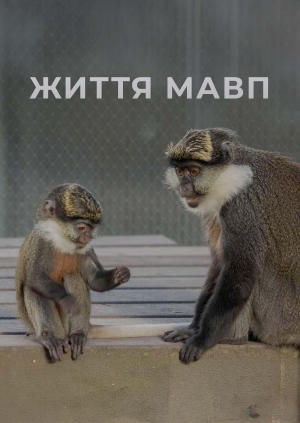 1 випуск. 14 сезон