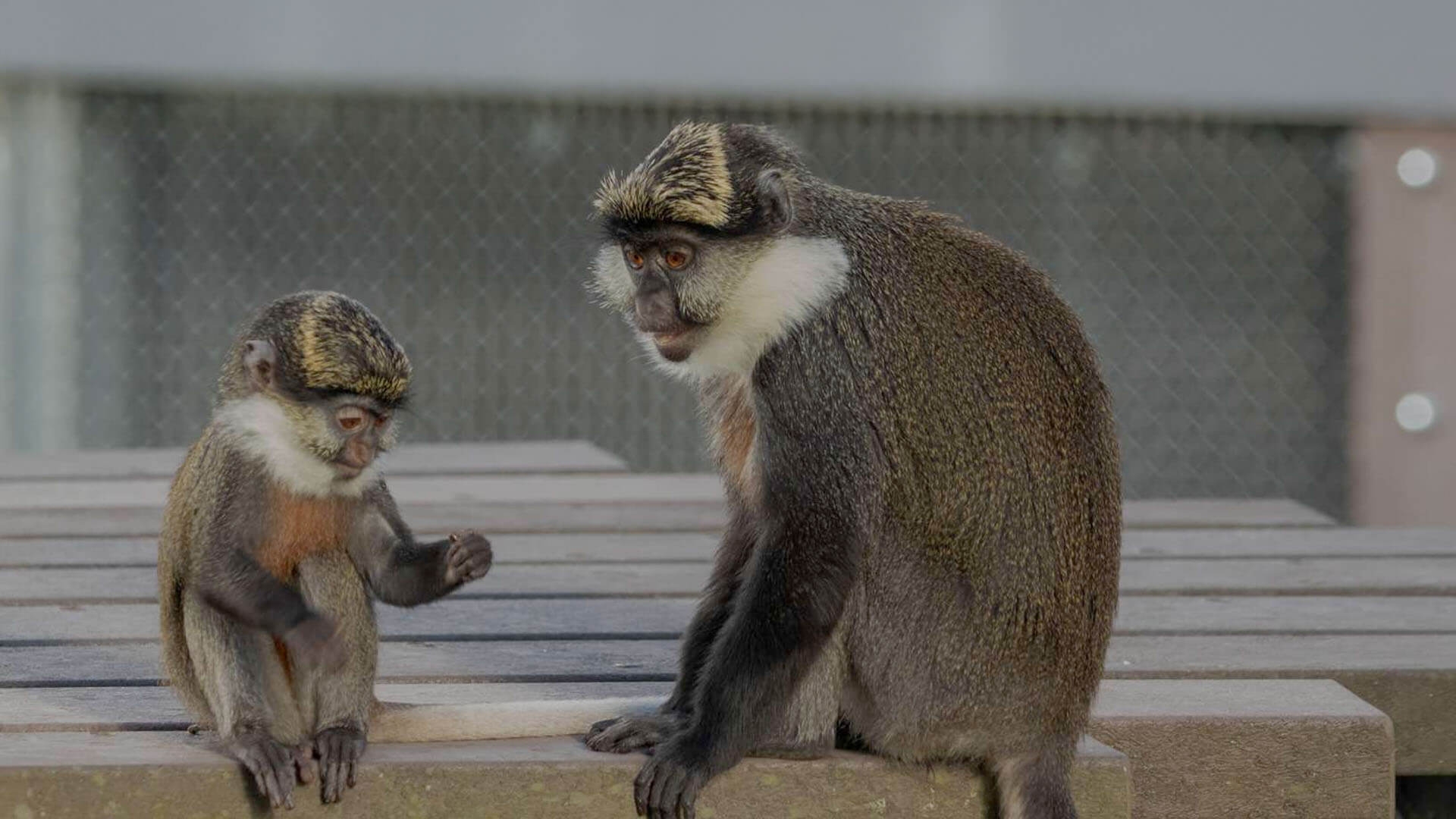 Episode 2. Season 14