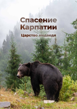 Спасение Карпатии: Царство медведя