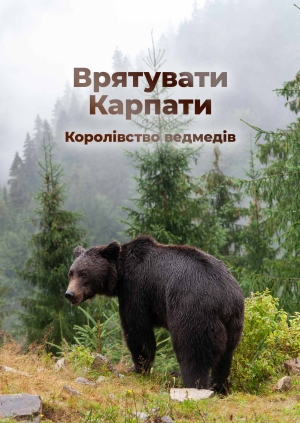 Врятувати Карпати: Королівство ведмедів