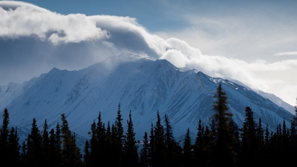 Дикий канадський рік (The Wild Canadian Year)