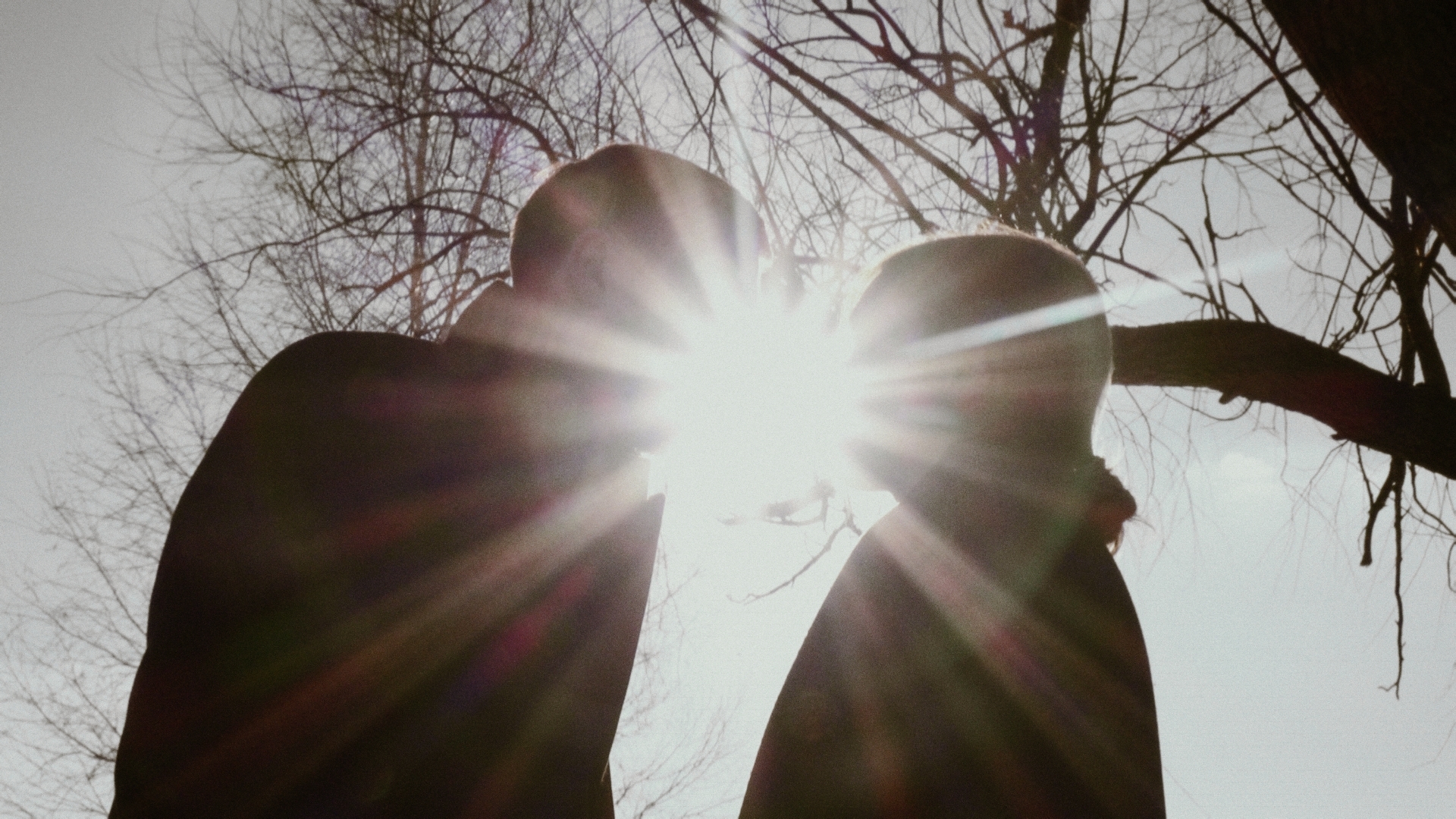 Останній ворон (Останній ворон)